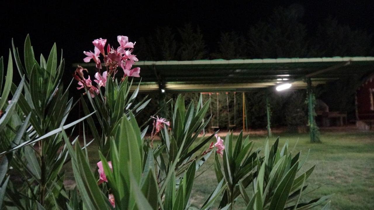 Finca Entrevinedos De Bodegas Marcos 페냐피엘 외부 사진